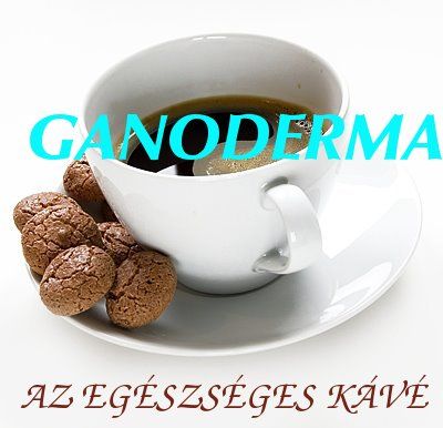 1aganodermajo2.jpg