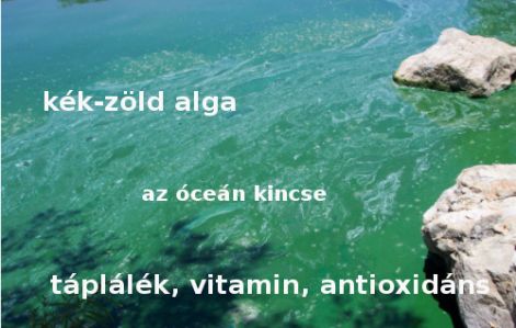 2akekzold2.jpg